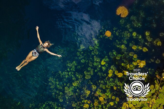4-in-1 Cenote Tour Guided Experience with Breakfast, Lunch & Wine - Lu’um, the Earth Cenote, uses assisted rappelling
