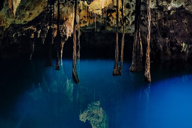 4-in-1 Cenote Tour Guided Experience with Breakfast, Lunch & Wine - Há, the Water Cenote, slows the pace again