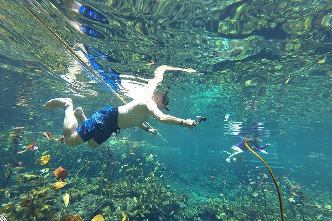 4 Private Cenotes, Zip-Lines, Canoes & Mayan Village with Delicious Lunch - Optional Tulum ruins extension