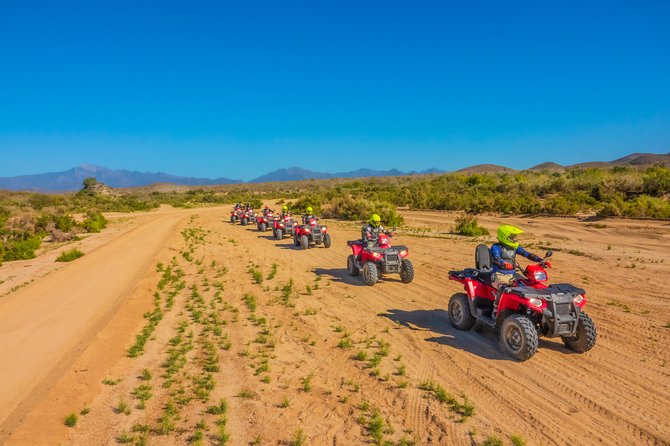 4x4 ATV Adventure with Tequila Tasting and Mexican Buffet Lunch - Oceanfront lunch after the dust