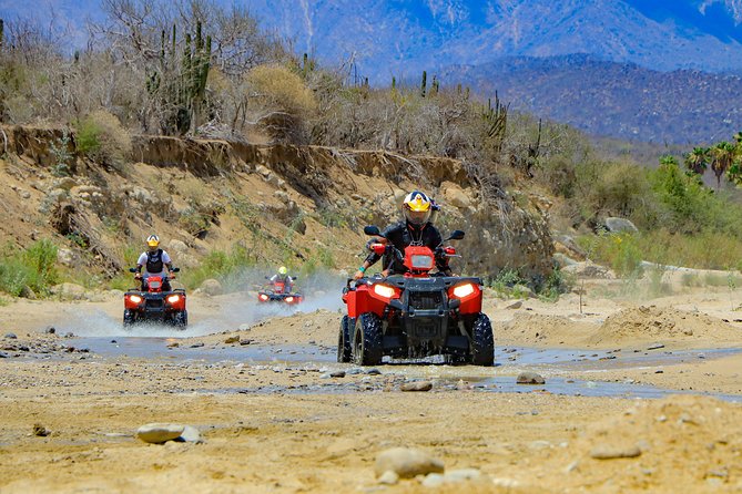 4x4 ATV Adventure with Tequila Tasting and Mexican Buffet Lunch - What the tequila tasting really includes