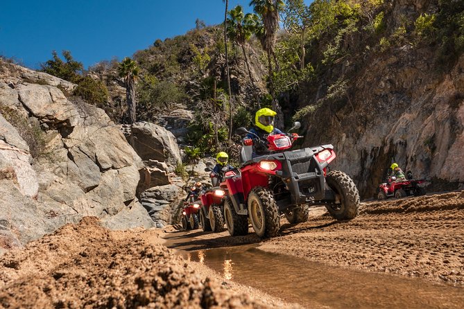 4x4 ATV Adventure with Tequila Tasting and Mexican Buffet Lunch - Is $75 a good deal?