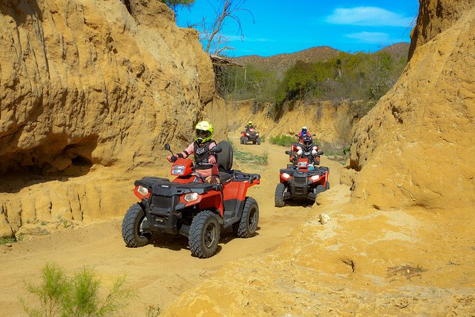 4x4 ATV Adventure with Tequila Tasting and Mexican Buffet Lunch - Who will enjoy this Cabo excursion?