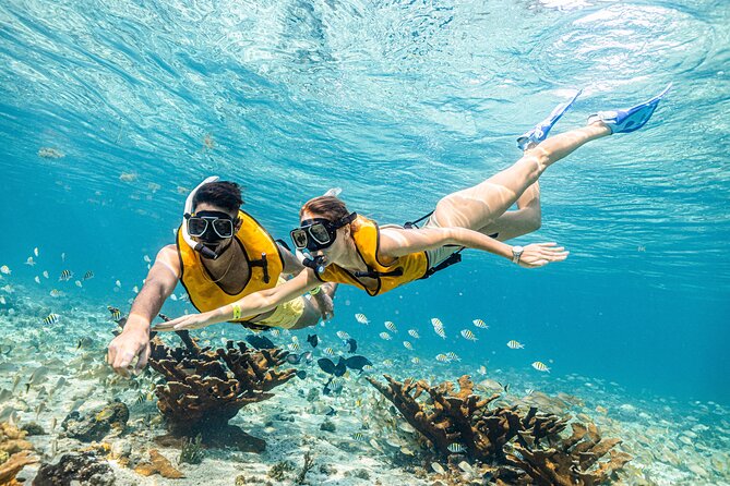 5-in-1 Cancun Snorkeling Tour with Sea Life & Transport Included - Stop three: turtles, rays, and a little patience