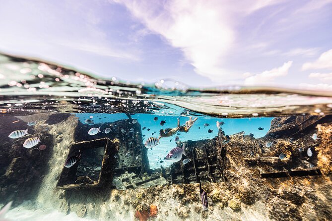 5-in-1 Cancun Snorkeling Tour with Sea Life & Transport Included - Price, dock fee, and the real value