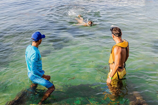 5-in-1 Cancun Snorkeling: Turtles, Reef, Musa, Shipwreck, Cenote - MUSA statues beneath the surface