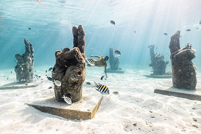 5-in-1 Cancun Snorkeling: Turtles, Reef, Musa, Shipwreck, Cenote - How the guides handle beginners and children