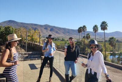 $99 Valle de Guadalupe Wine Tours – DayTrip to baja from San Diego