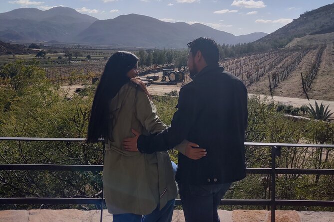 $99 Valle de Guadalupe Wine Tours - DayTrip to baja from San Diego - Choosing the Right Guide and Vehicle