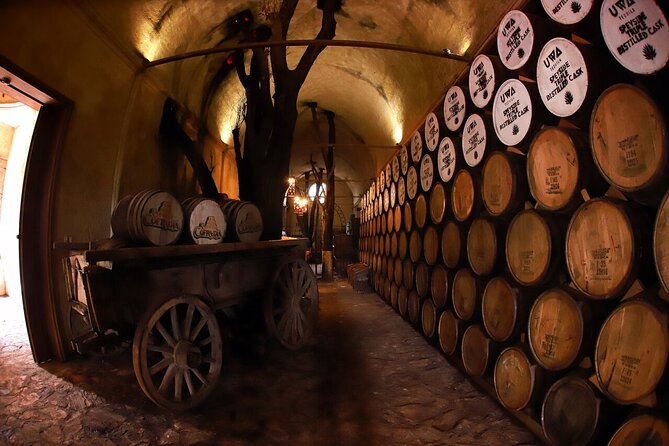 A unique tour! Visiting Hacienda Casa herradura From Guadalajara - Why this Casa Herradura tour works from Guadalajara