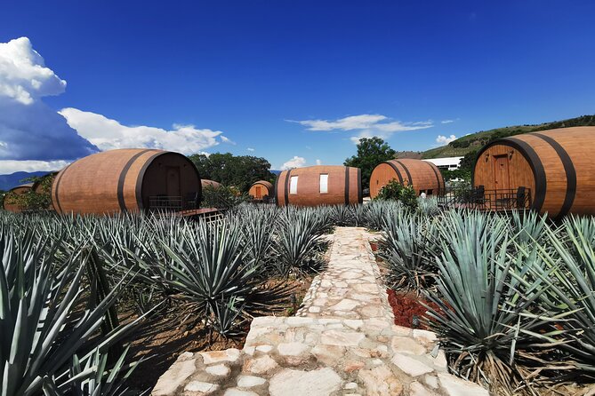 A unique tour! Visiting Hacienda Casa herradura From Guadalajara - How the day compares with larger tequila outings