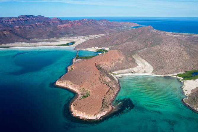 Adventure to Espiritu Santo Island: Snorkel with Sea Lions and Beach - Isla Partida and the island’s natural highlights