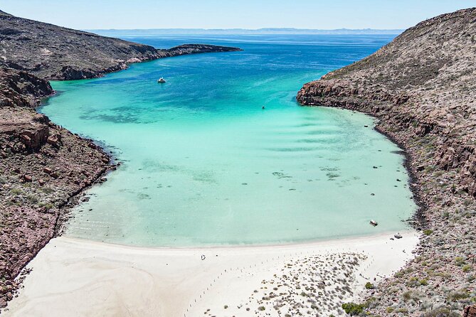 Adventure to Espiritu Santo Island: Snorkel with Sea Lions and Beach - Swimming with the sea lions at Los Islotes
