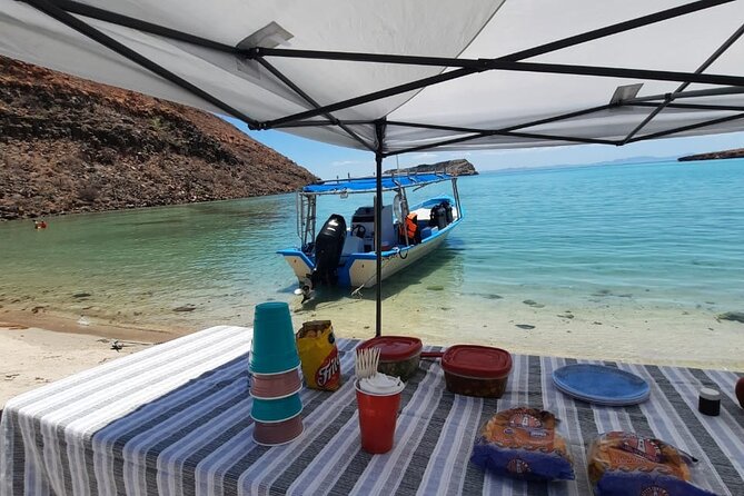 Adventure to Espiritu Santo Island: Snorkel with Sea Lions and Beach - Beach lunch in turquoise water