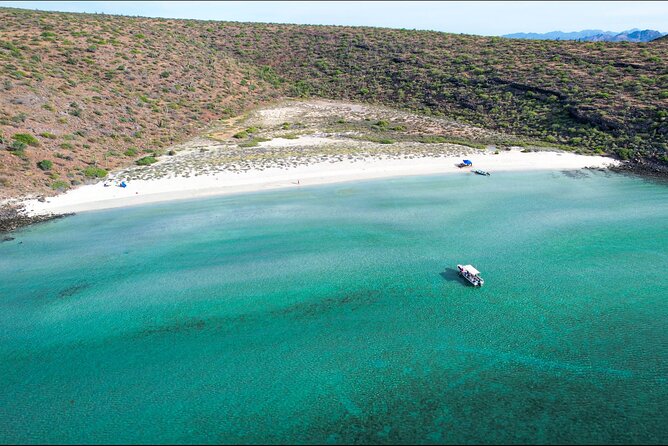 Adventure to Espiritu Santo Island: Snorkel with Sea Lions and Beach - The guides make the difference