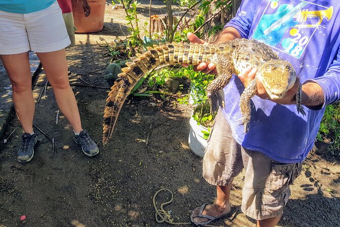 Afro-Mex Village Experience -Horseback Ride -Turtle Hatch & Crocs - Key things to know before you book