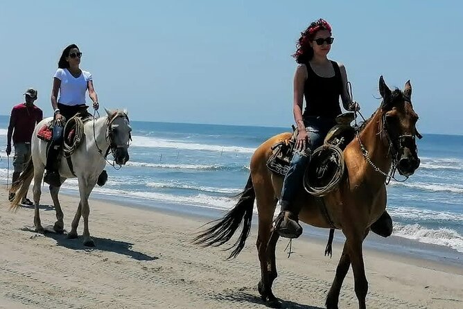 Afro-Mex Village Experience -Horseback Ride -Turtle Hatch & Crocs - Why this Acapulco half-day works well