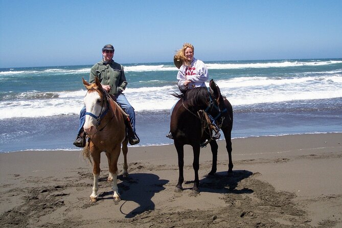 Afro-Mex Village Experience -Horseback Ride -Turtle Hatch & Crocs - Meeting crocodiles at the new farm