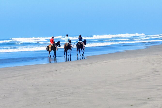 Afro-Mex Village Experience -Horseback Ride -Turtle Hatch & Crocs - Who should book this experience?