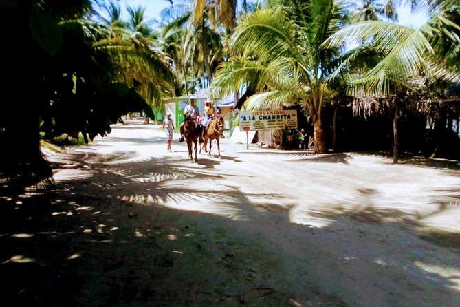 Afro-Mex Village Experience -Horseback Ride -Turtle Hatch & Crocs - Pickup from your hotel, Airbnb, or cruise ship