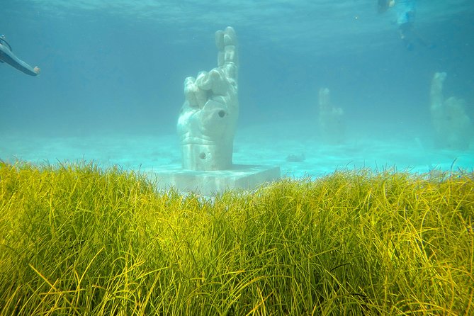 Afternoon Half-Day Catmaran Sailing and Snorkel Adventure - Returning to Cancun without confusion