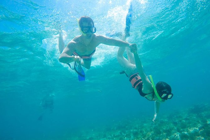Afternoon Half-Day Catmaran Sailing and Snorkel Adventure - Who should book this catamaran trip?
