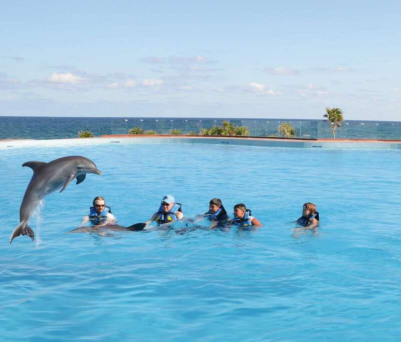 Akumal: Dolphin Encounter - What the 55-Minute Schedule Really Gives You