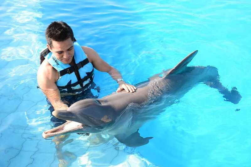 Akumal: Dolphin Encounter - Booking Flexibility and Language Support