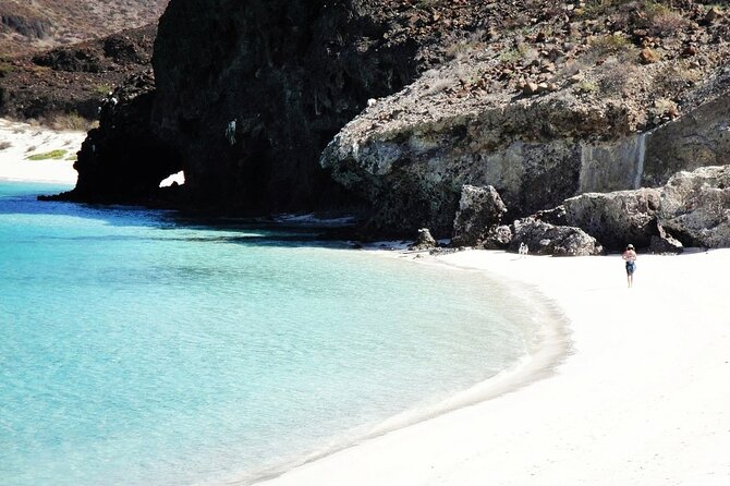 All-Inclusive Catamaran Tour | Beaches & Sea Lions from Los Cabos - The Day Starts on the Road to La Paz