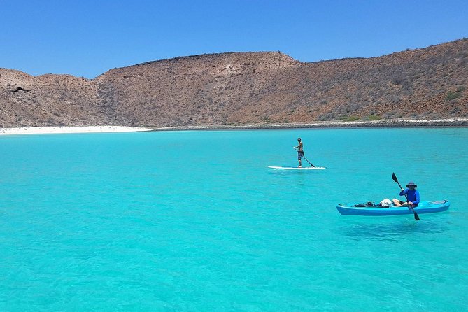 All-Inclusive Catamaran Tour | Beaches & Sea Lions from Los Cabos - Who Will Enjoy This Catamaran Trip?