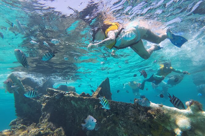 All-Inclusive Isla Mujeres Catamaran with Free Transportation - Lunch and beach club time on Isla Mujeres