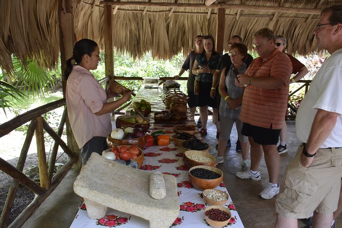 Ancient Chacchoben Mayan Ruins & Mayan Experience from Costa Maya - Who should book this experience?