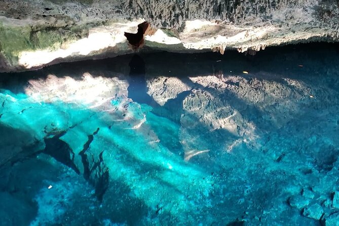 Archaeological Tour in Tulum and Coba with Kuxtal Cenote - Guides, language, and the quality gap