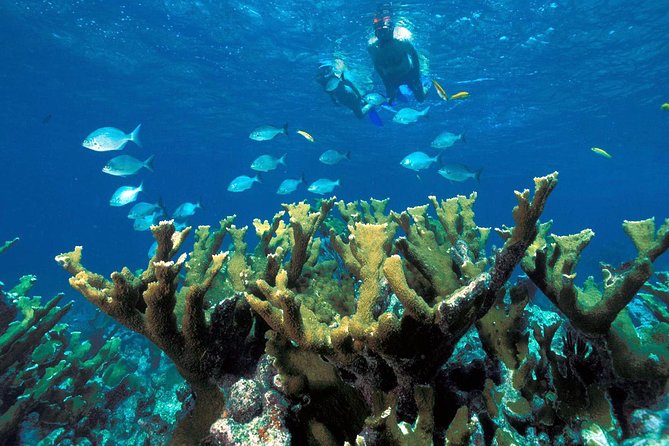 ATV Adventure Combo with Snorkeling, Ziplines, Cenote, and Lunch - Who Should Book This Puerto Morelos Combo?
