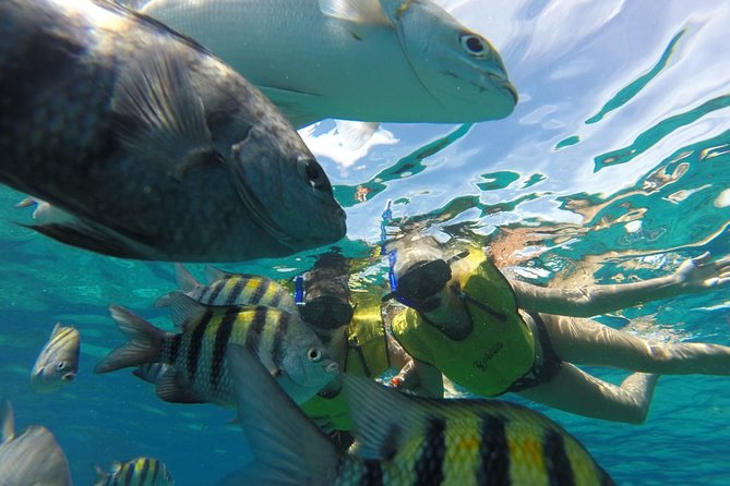 ATV Mud Kicking and Snorkeling by Boat in Cozumel - Snorkeling by boat in the National Marine Park
