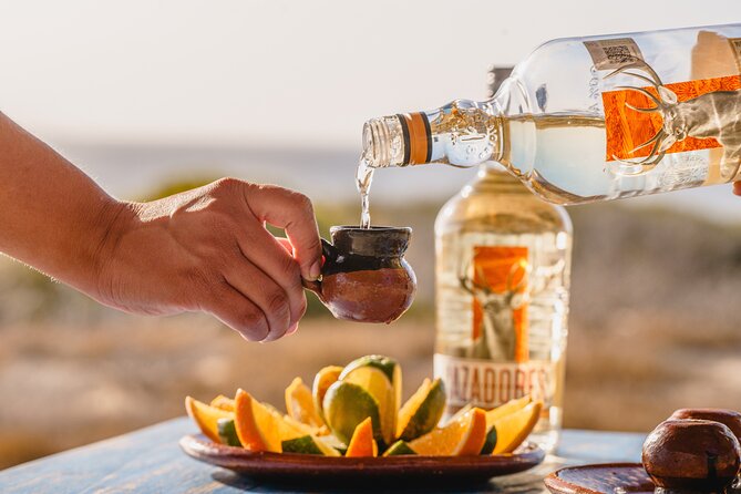 ATV Tour, Camel Ride, Tequila Tasting and Mexican Buffet Lunch - Key points before you book