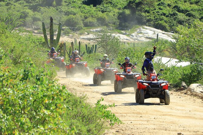 ATV Tour, Camel Ride, Tequila Tasting and Mexican Buffet Lunch - What the $149 tour actually gives you