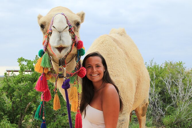 ATV Tour, Camel Ride, Tequila Tasting and Mexican Buffet Lunch - Riding an automatic ATV through the Baja desert
