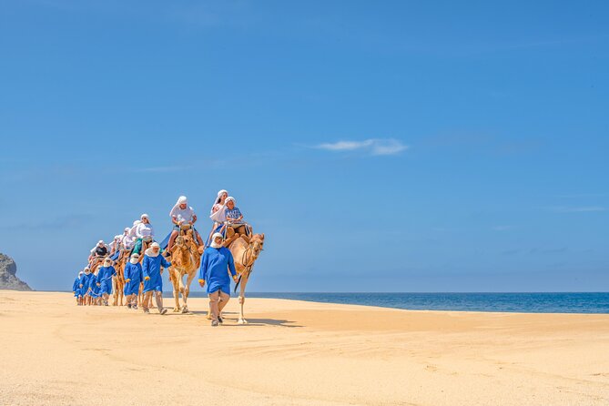ATV Tour, Camel Ride, Tequila Tasting and Mexican Buffet Lunch - Tequila, mezcal, and lunch beside the water