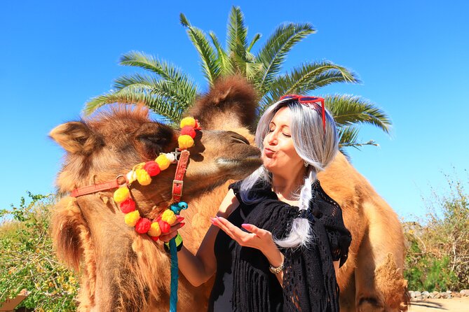 ATV Tour, Camel Ride, Tequila Tasting and Mexican Buffet Lunch - The guides make the difference