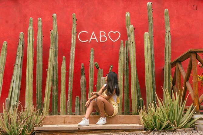 ATV Tour, Camel Ride, Tequila Tasting and Mexican Buffet Lunch - Who will enjoy this Cabo outing most?