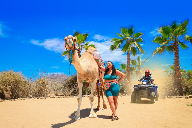 ATV Tour, Camel Ride, Tequila Tasting and Mexican Buffet Lunch - Arriving at Tierra Sagrada near the Sea of Cortez