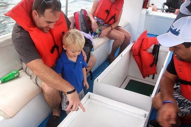 Authentic Cabo San Lucas Tour - The Glass-Bottom Boat To The Arch