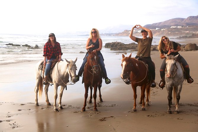 Authentic horseback riding in beautiful La Mision - Through the estuary and La Mision trails