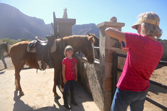 Authentic horseback riding in beautiful La Mision - Photos, videos, and the real value