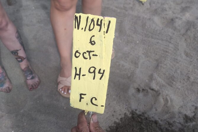 Baby Sea Turtle Releasing Sightseeing Tour with Luis de la Maza - Why Juluchuca makes this trip worthwhile