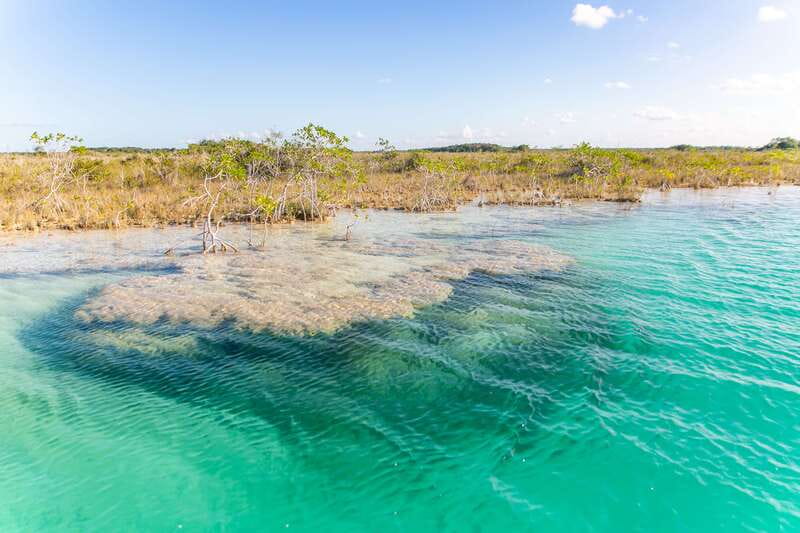 Bacalar: 3 Hour Boat Trip with Swimming & Drinks - Cenote Cocalitos and the changing colors of the water