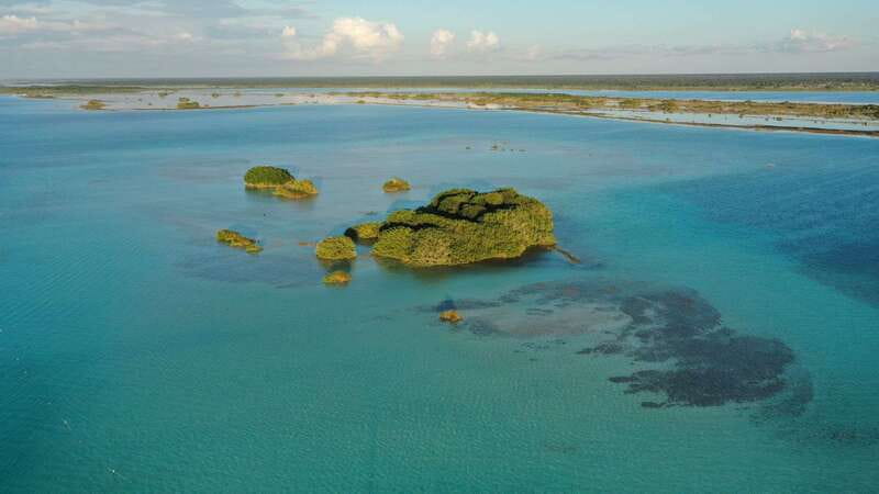 Bacalar: Group Sailing Trip with Swimming and Drinks - Drinks, fruit, and the value of $40