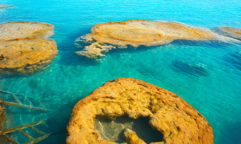 Bacalar: Lagoon, Pirate Canal, Stromatolite Day Trip w/Lunch - Swimming in the Lagoon of Seven Colors