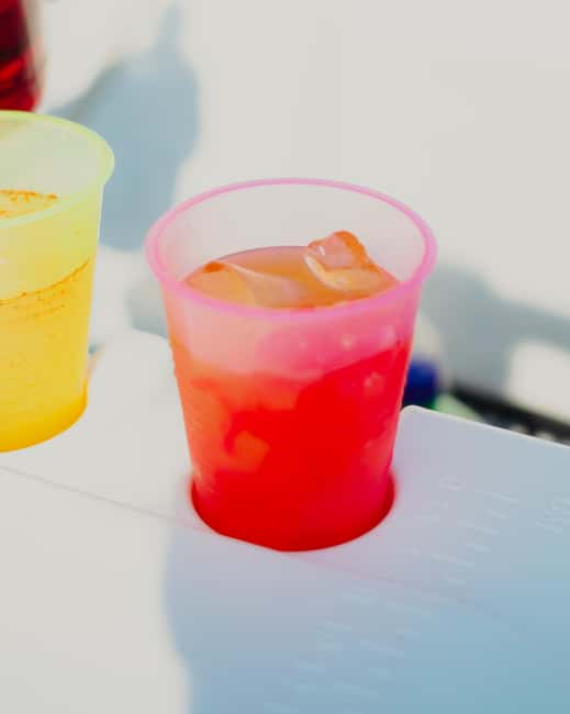 Bacalar Lagoon Sailing Tour with Open Bar and Mexican Lunch - Open bar, fruit, guacamole, and Mexican food